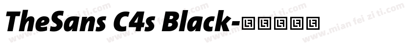TheSans C4s Black字体转换